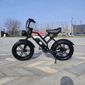 Cheap Electric Bicycle