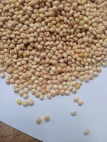 Millet