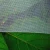 Import Skyplant greenhouse Factory Wholesale Anti Insect Net For Agricultural from China