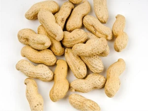 High-Quality Raw Peanuts – Shelled & Unshelled | Bulk Export Available
