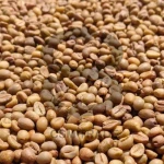 Indonesian Robusta Green Coffee Beans – Gayo | Natural