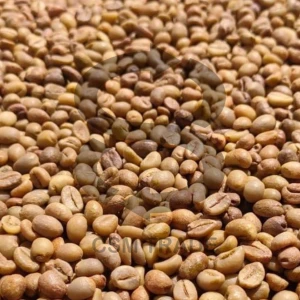 Indonesian Robusta Green Coffee Beans – Gayo | Natural