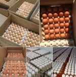 Fresh Farm Table eggs