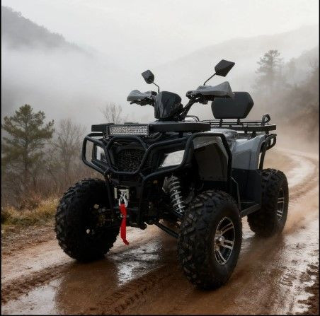 Two Wheel Quade Buy 200cc 250cc Atv Four-wheel Two-seater Quad Bike Atv from ...