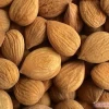 Almond Kernel, Almond Nuts, Sweet Almond
