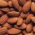 Import Almond Kernel, Almond Nuts, Sweet Almond from Germany