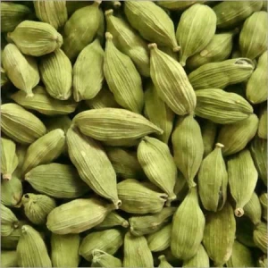 Best Quality Whole Large Dried Green Cardamom Spices Exporter