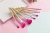 Import Hot Sell Vegan Makeup Brush Set Cosmetic Brush with Carry Jar from China