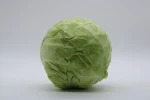 Fresh cabbage