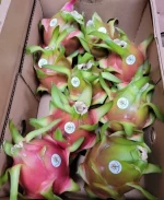 Dragon fruit pitaya