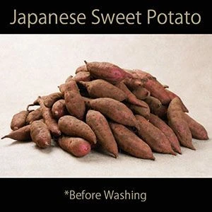 SWEET POTATO  from JAPAN