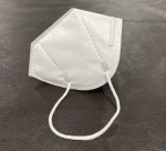 Disposable mask