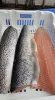 Atlantic Fresh Salmon Fish, Frozen Salmon Fish Fillet