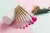 Import Hot Sell Vegan Makeup Brush Set Cosmetic Brush with Carry Jar from China