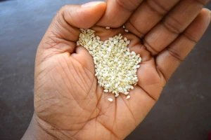 High Quality Raw Sesame Seeds From Lindi Tanzania