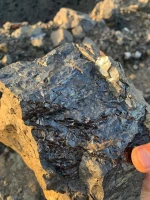 Coal