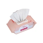 Skincare Wet Toilet Paper 80 Draws (Powder)
