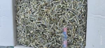 Sprats