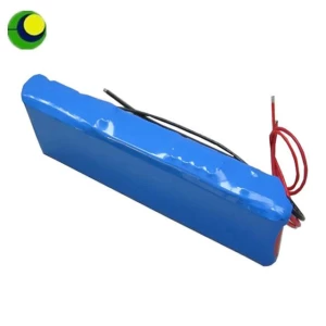 Electric Bike PVC 48V Rechargeable Battery