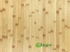 FSC Bamboo Horizontal Plywood/Panel from Vietnam