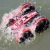 Import CV-B500 Land and water amphibious stunt car from China