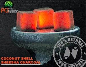 coconut cube charcoal