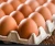 Import Wholesale Supplier Of Bulk Fresh Stock of White / Brown Shell Fresh Table Chicken Eggs from Poland