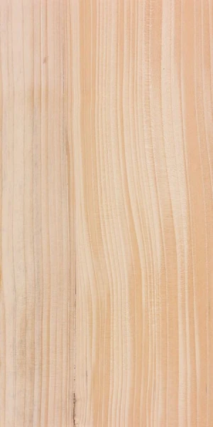 Premium Balsam Fir Timber Bulk Supply High Quality Wood Export Grade Material