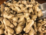 Ginger