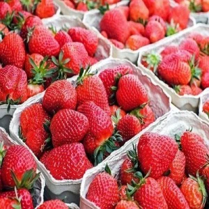 Strawberry Fruit