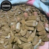 Agarwood Kacang Oudh