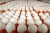 Import Wholesale Supplier Of Bulk Fresh Stock of White / Brown Shell Fresh Table Chicken Eggs from Poland
