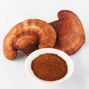 100 % Pure Natural Mushroom Extract Organic Reishi Extract Powder for Health Care