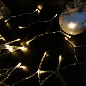 10L 20L 40L Holiday Christmas Party  lights 3AA Battery Powered Led  light string