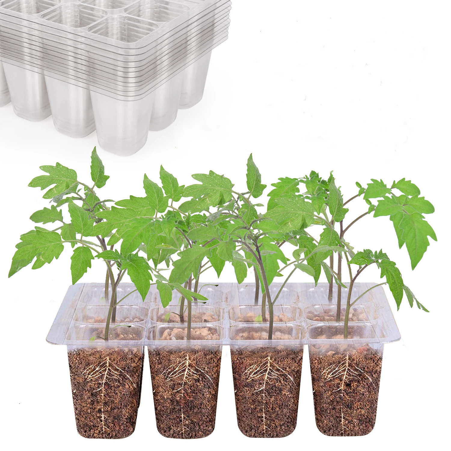 12 Cells Plastic Seed Tray Germination Vegetable Nursery Plant Greenhouse Seedling Trays