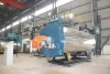 2  4  6  10 ton Light/Heavy Oil Fired Diesel Oil Fired Thermal Oil Heater Organic Heat Carrier Boiler for Factory Plant