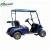 Import 2 passenger electric golf cart,hotel golf cart,sightseeing golf cart for sale from China
