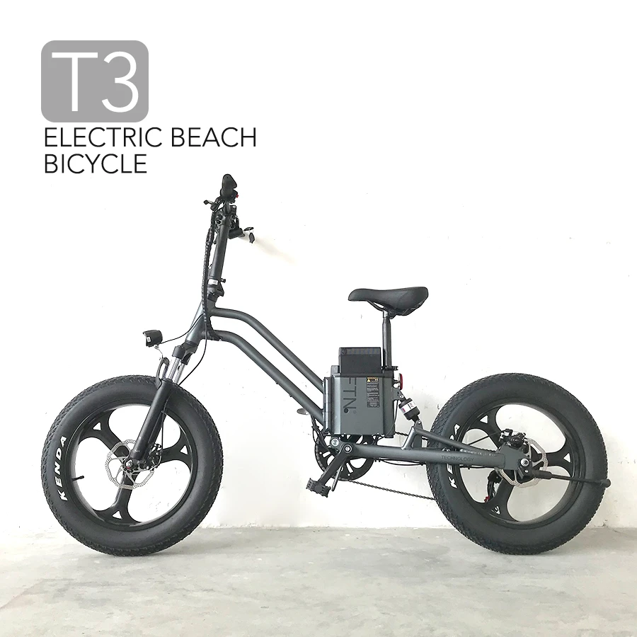 20" E-Bike 48V 500W 7 Speed High Quality Electric Bicycle