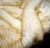 Import 2005221- Faux fox fur fabric, artificial plush dyeing with white tip, imitative fox fur textile from China