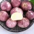 2018 New Crop Yunan Organic Single Solo Individual Purple Garlic Supply With Wholesale Price