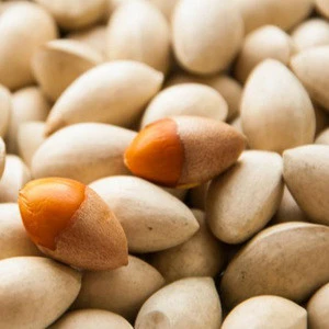 2019 HIGH QUALITY GINKGO NUTS FOR SALE