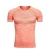 Import 2019 OEM Customize New Short Sleeve Quick Dry Sportswear Summer Fitness Wear Mens Gym Running T-shirt from China
