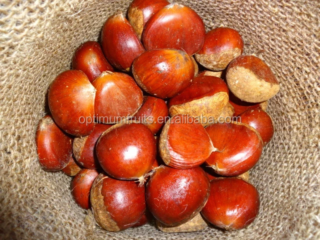 2020 new crop peel roast chestnut fresh chines origin chestnut export to the world