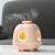 Import 2020 New product cute ultrasonic aromatherapy diffuser cool mist humidifier led night light from China