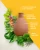 Import 2020 New Terra cotta planter self watering flower pot Low fired porous Terracotta clay flower planter pot from China