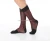 Import 2021 New Coming Men stockings Silk Sheer Work Wear Business Nylon Sock from China