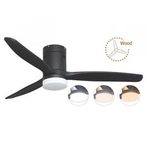 2022 lifestyle 52 Inch LED light black ceiling fan with light Fan for your prosperous life