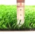 20mm Indoor artificial grass indoor sports facility turf