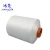 Import 28 40 50 80 High Tenacity DTY FDY nylon 6 covered yarn from China
