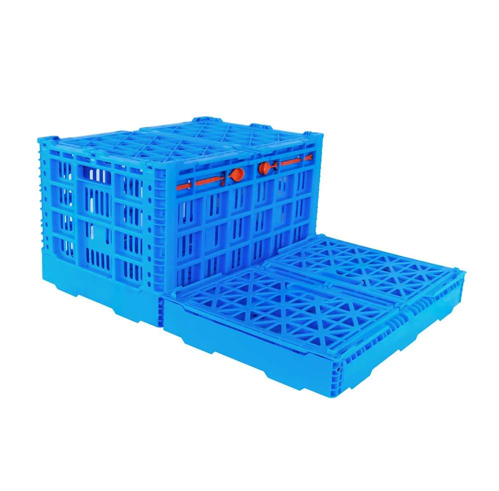 535*360*312mm collapsible storage crate for fruit transportation for apple